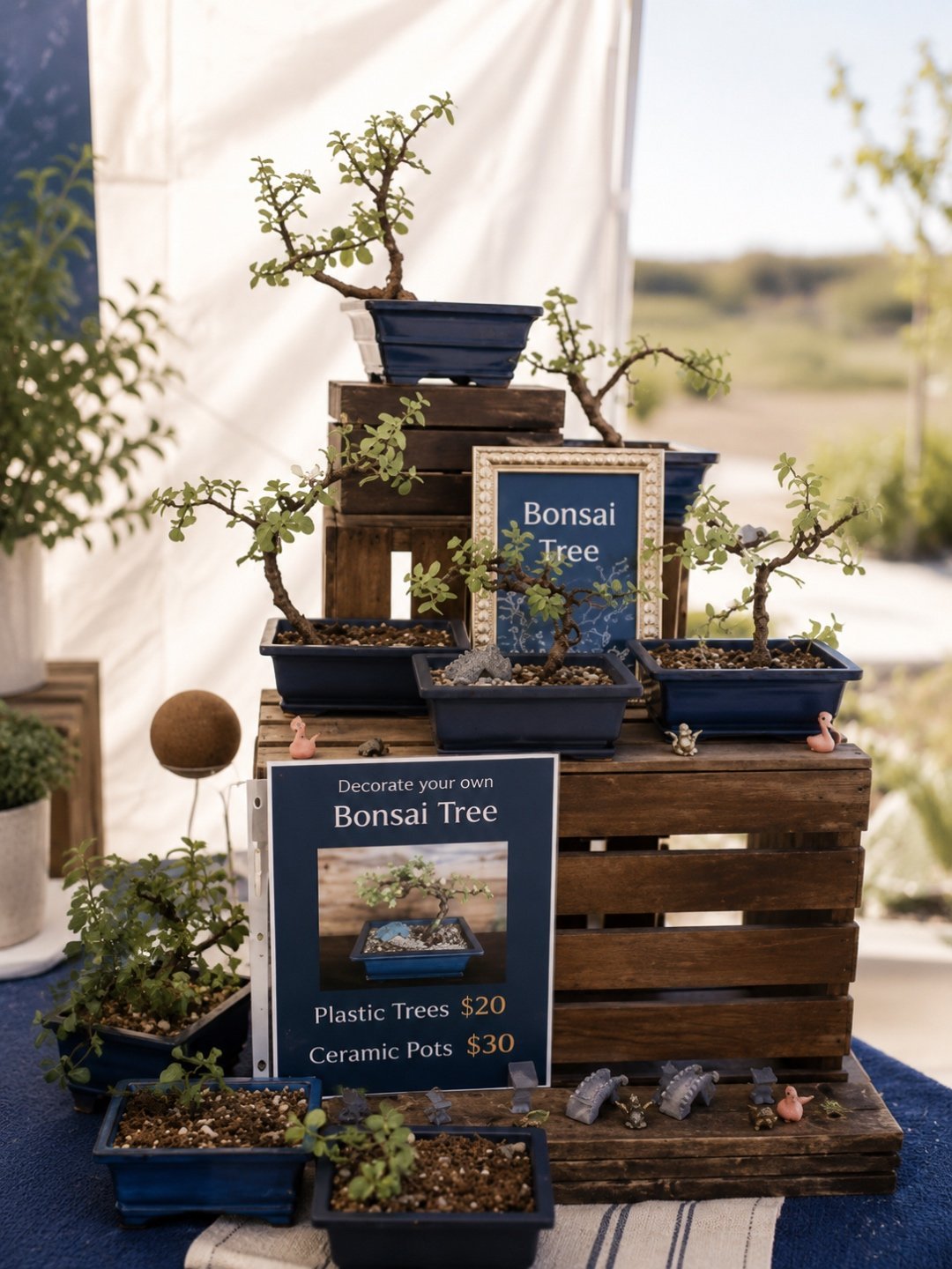 A market table set with bonsai and small plants