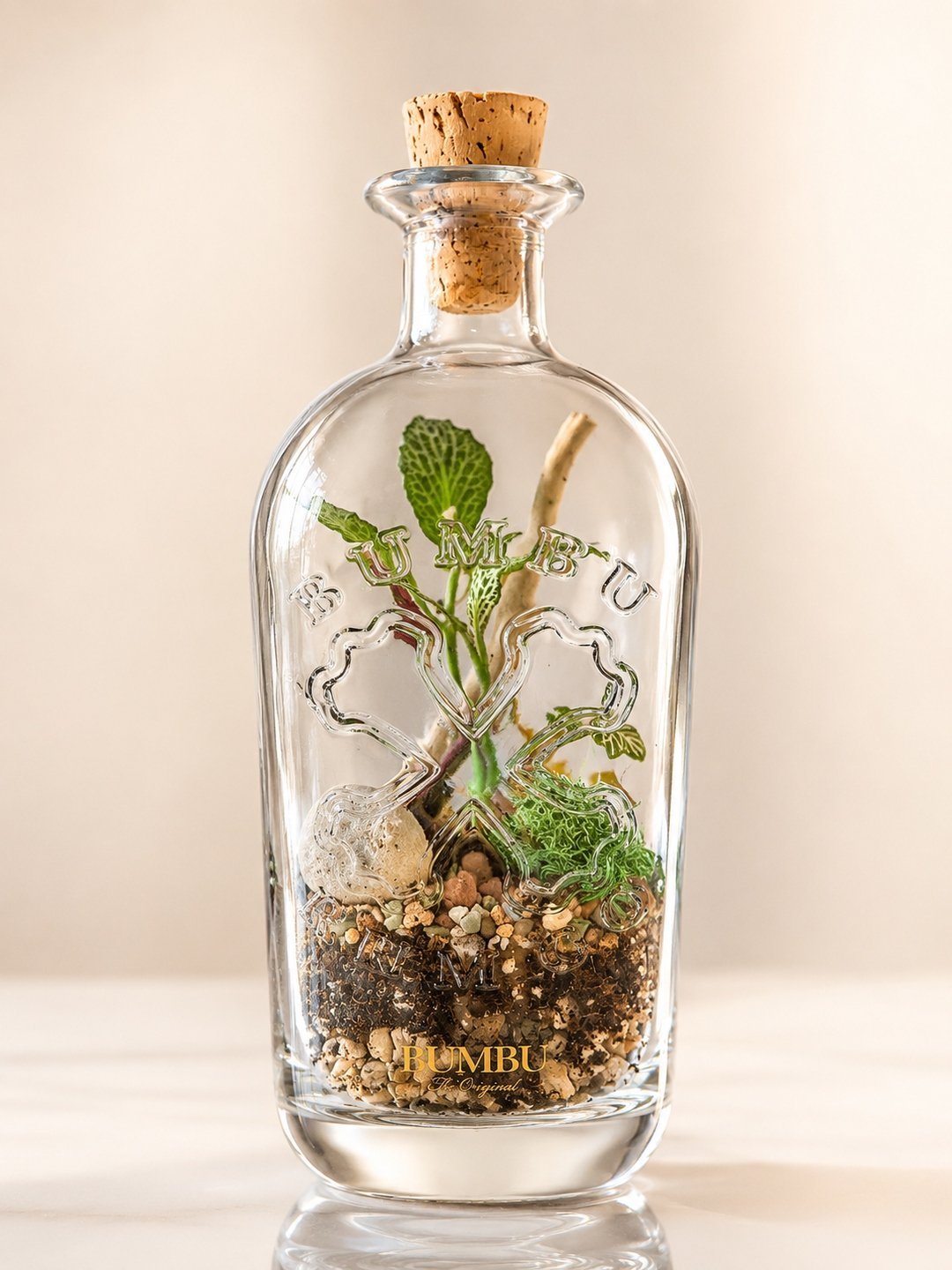 Bumbu rum bottle terrarium with a cork stopper, driftwood, and small plants.